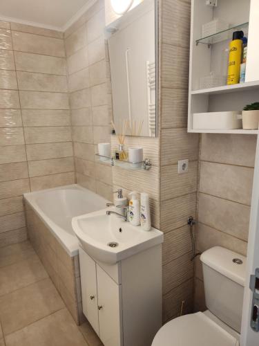 La salle de bains est pourvue d'un lavabo, d'une baignoire et de toilettes. dans l'établissement Alexa Home, à Sânmartin