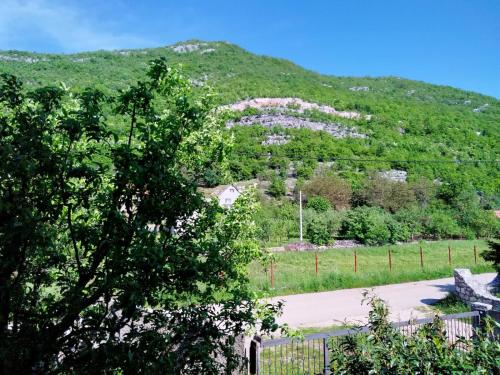 a mountain in the distance with a tree at Milka Lek Lai Cacao Mika ZEE in Nikšić
