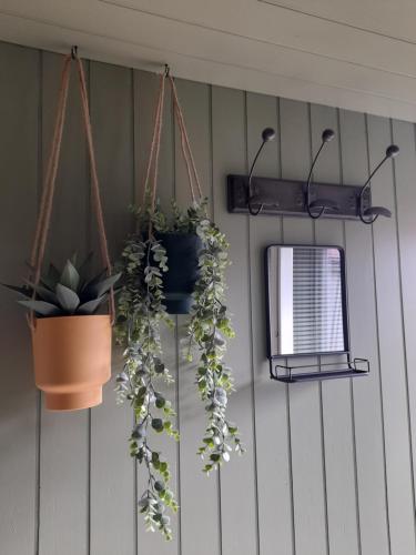 a wall with potted plants and a tv on it at Volcan Nature in Saint-Pierre-le-Chastel