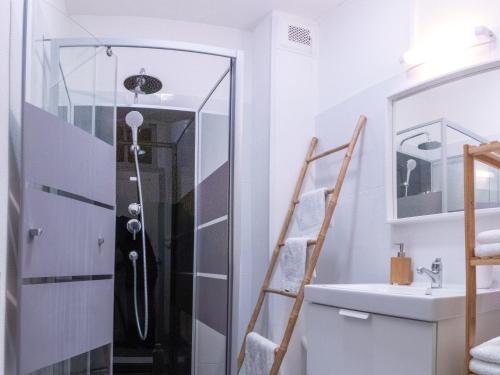 une salle de bain avec douche et lavabo dans l'établissement L'Amour de la Paix - Centre-Ville - Jardin - Proche gare - TV65