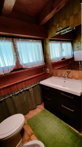 a bathroom with a toilet and a sink and a green rug at Appartamento Fronte Piste in Auronzo di Cadore