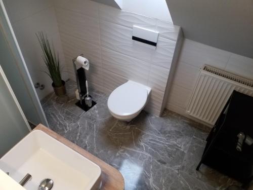 een badkamer met een wit toilet en een wastafel bij Sarokház Tihany in Tihany