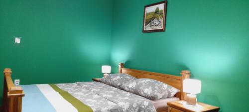a bedroom with a bed with a green wall at Kucerak kod Bobe Vrdnik in Vrdnik