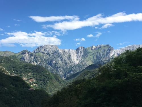 アパートメントの近くで見られる自然の景観