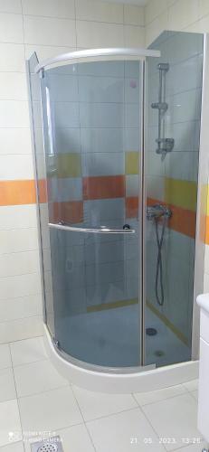 a shower with a glass door in a bathroom at Pocitniska hisa Frida in Rogaška Slatina