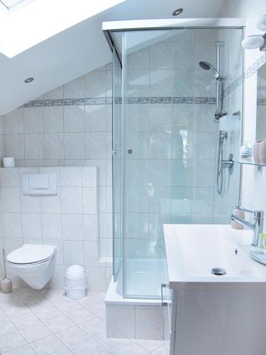 a bathroom with a shower and a toilet and a sink at Hotel Garni Landhaus Sonnenstern in Schönau am Königssee