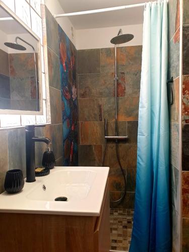 une salle de bain avec un lavabo et une douche dans l'établissement Bandol Appartement Terrasse, à Bandol