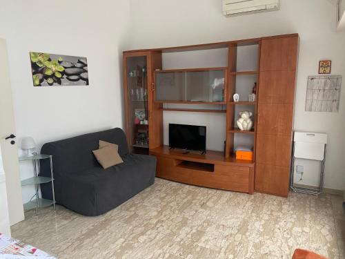 un soggiorno con un divano e una televisione di La casa di Giada a Peschiera Borromeo