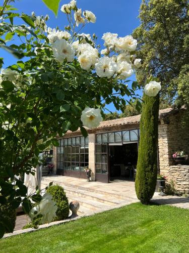 Κήπος έξω από το Villa Hautvallon - Peaceful Escape in Provence