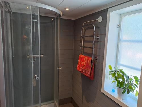 a shower with a glass door in a bathroom at Hejdbacken in Nora