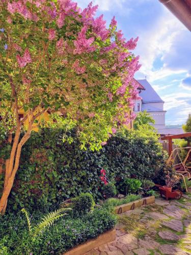 a tree with pink flowers on the side of a hedge at Apartment in a historical house in the center of Levoča in Levoča