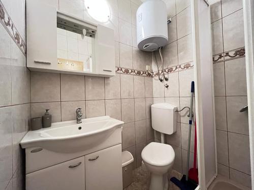 A bathroom at Vir Apartman Alena