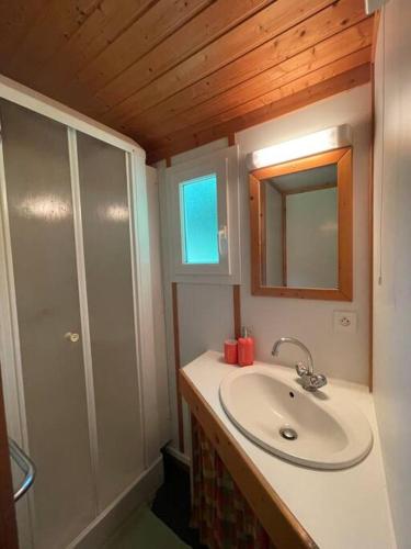 une salle de bain avec un lavabo et une douche dans l'établissement Chalet au bord de l'étang, à Sérilhac
