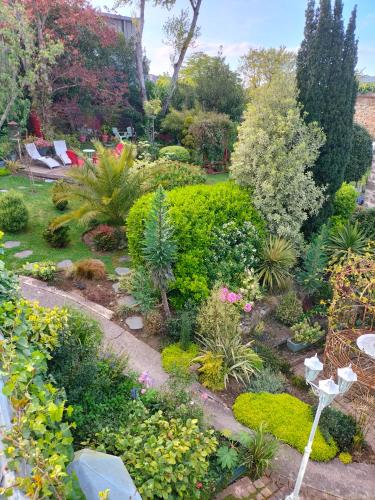 a garden with many different plants and flowers at Le Jardin Secret & Spa - Chambre d'Hôtes in Saint-Brieuc