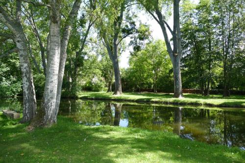 a park with trees and a body of water at La Feuillaie in Saint-Ay