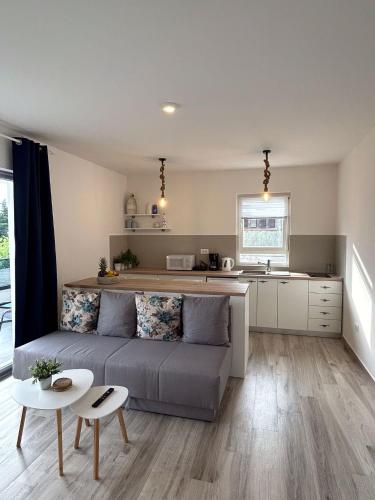 Η κουζίνα ή μικρή κουζίνα στο Apartments Endji
