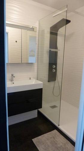 une salle de bain avec douche et lavabo dans l'établissement Front de mer - Emplacement prisé - T2 moderne et climatisé - Tout à pied, à Bandol