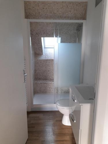 a bathroom with a shower with a toilet and a sink at Idéalement situé pour visiter la région Pordic-Tréméloir in Pordic