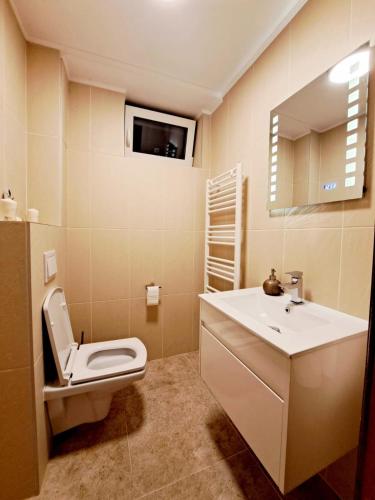 a bathroom with a toilet and a sink and a mirror at VILA COCA Sibiu in Sălişte