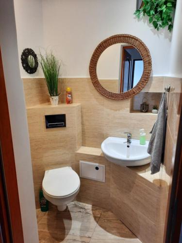 a bathroom with a toilet and a sink and a mirror at Pod Wierzbą Apartament na Kaszubach 