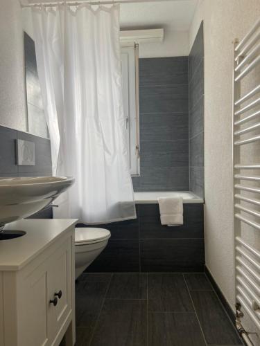 a bathroom with a toilet and a sink and a shower at 1 BDR Apartment in Zurich West in Zurich
