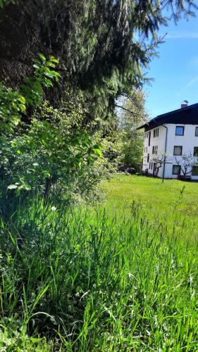 Gallery image of Gästehaus Post Aigner in Greifenburg