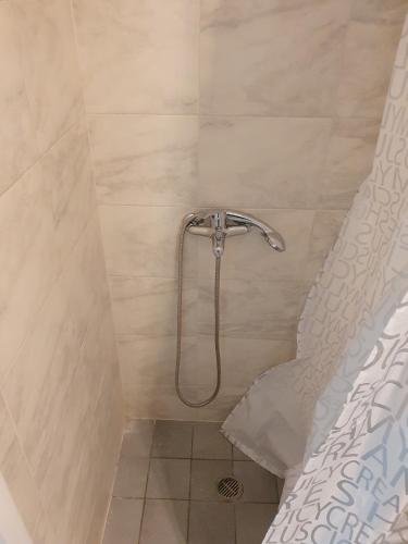 a shower with a shower head in a bathroom at GM Apartments in Tolo