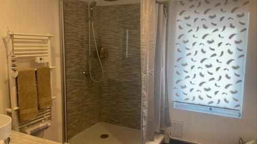 La salle de bains est pourvue d'une cabine de douche en verre. dans l'établissement Appartement T3 La Madrague/ Les Calanques, à Marseille