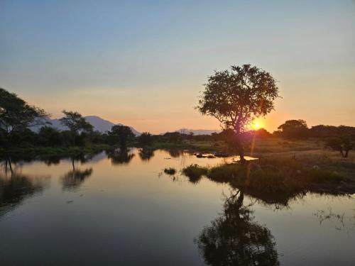 a tree on a river with the sunset in the background at Ukanyi Luxury Villa in Hoedspruit