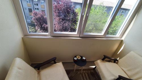 a room with two chairs and two windows at Apartament Estera in Oradea