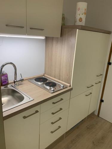 une petite cuisine avec un évier et une cuisinière dans l'établissement Kleines Einzimmer-Apartment 14, à Bad Wildbad