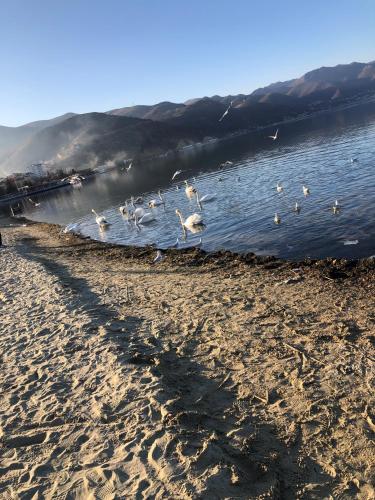 Daire yakınında doğal manzara