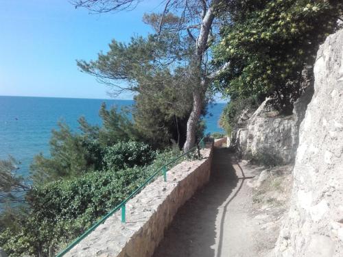 Apartament amb jardí privat i piscina