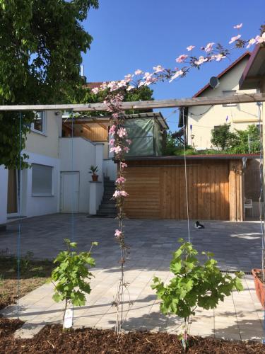une maison avec deux plantes à fleurs dans une cour dans l'établissement Ferienwohnung in Wiesent-gerne Handwerker/Monteure, à Wiesent