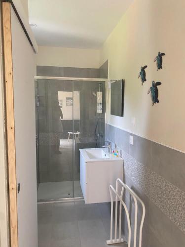 a bathroom with a shower and a white sink at Gîte Auberge du fumoir in Anould