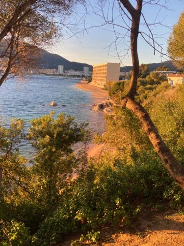 - une vue sur une rivière avec une plage et des bâtiments dans l'établissement T2 standing Ajaccio, à Ajaccio