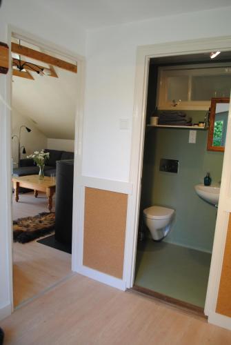 un bagno con un water in una stanza di Vakantie Appartement Klavertje 4 in Laren Gld a Laren