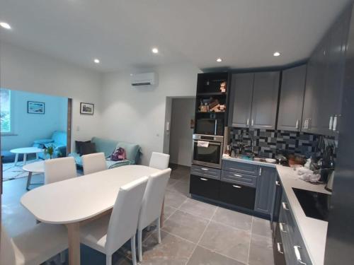 une cuisine et une salle à manger avec une table et des chaises dans l'établissement appartement nice, à Nice