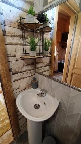 W łazience znajduje się biała umywalka i lustro. w obiekcie Still cabin w mieście Cetynia