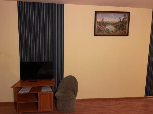 a living room with a chair and a television at Hotel Omega in Ostrów Wielkopolski