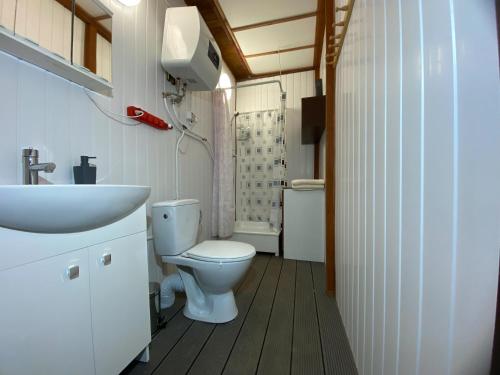a bathroom with a white toilet and a sink at Domek Letniczówka in Olsztynek