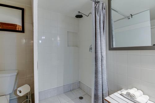 a bathroom with a shower and a toilet at Le petit Manoir Spa et Vue sur rivière St Maurice in Grandes-Piles