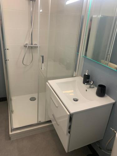 une salle de bain avec un lavabo blanc et une douche dans l'établissement Location 2 pers centre historique de quimper, à Quimper