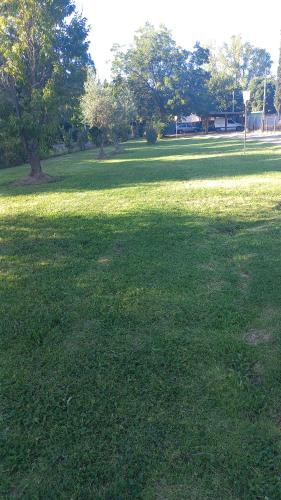 a large field of green grass with trees in it at Vista Andes VII in Ciudad Lujan de Cuyo
