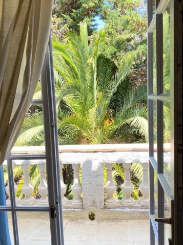 an open door to a balcony with palm trees at Villa Daurus in Vallauris