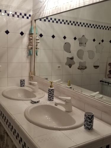 La salle de bains est pourvue de 2 lavabos et d'un grand miroir. dans l'établissement Gîte Stevalou, à Labarthe-Rivière