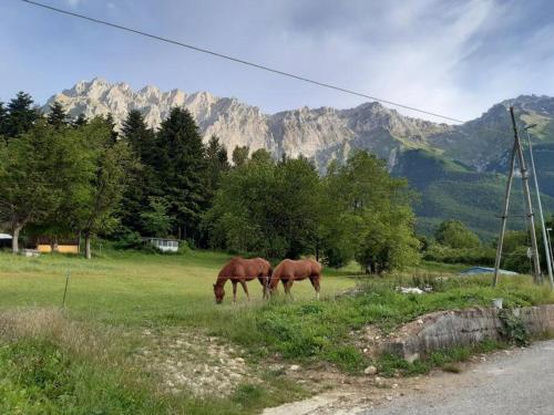 Paisaje cerca de este apartamento