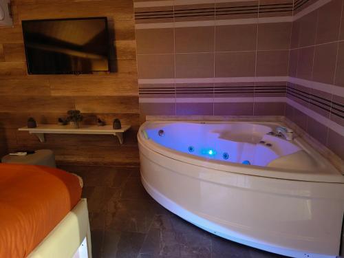 a bathroom with a tub and a tv and a bed at Spa Apartman OGLEDALO in Zaječar