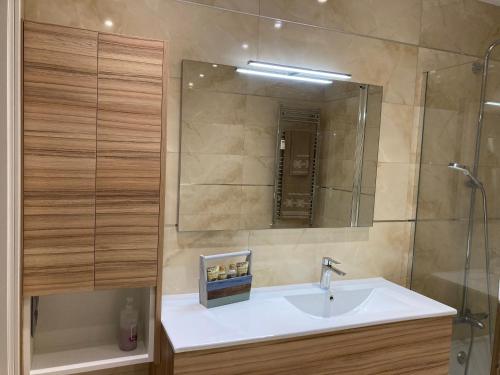 een badkamer met een wastafel en een spiegel bij Atico Avila in Avila