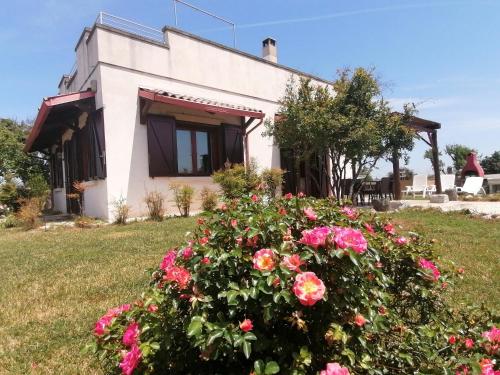 Villa delle Rose – Photos 2
